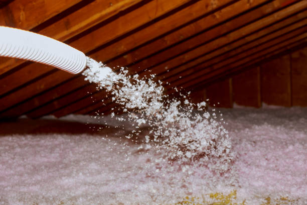 Professional Insulation Contractor in Naples, TX