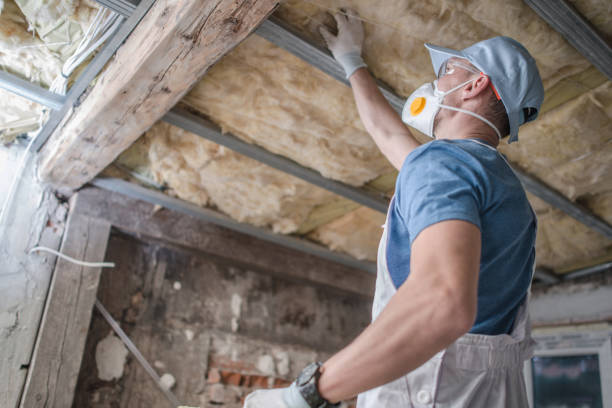 Best Spray Foam Insulation in Naples, TX