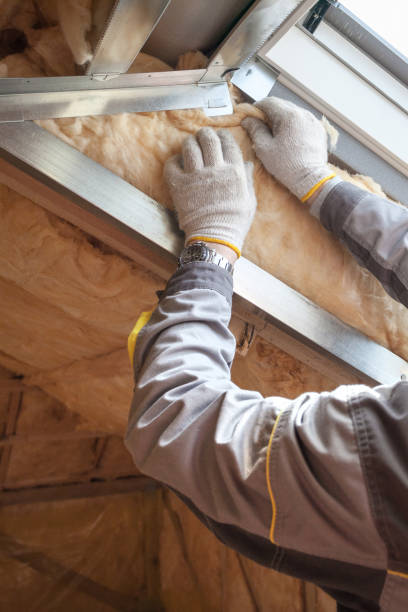 Types of Insulation We Offer in Naples, TX